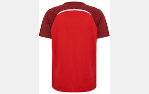 Maillot entraînement - Lions FEMME