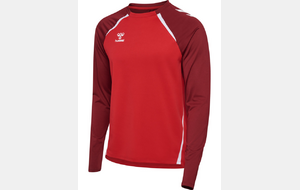 Sweat shirt - Lions ENFANT