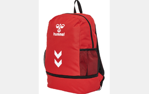 Sac de sport - Lions