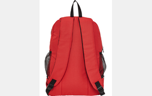 Sac de sport - Lions