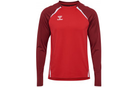 Sweat shirt - Lions HOMME