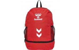 Sac de sport - Lions